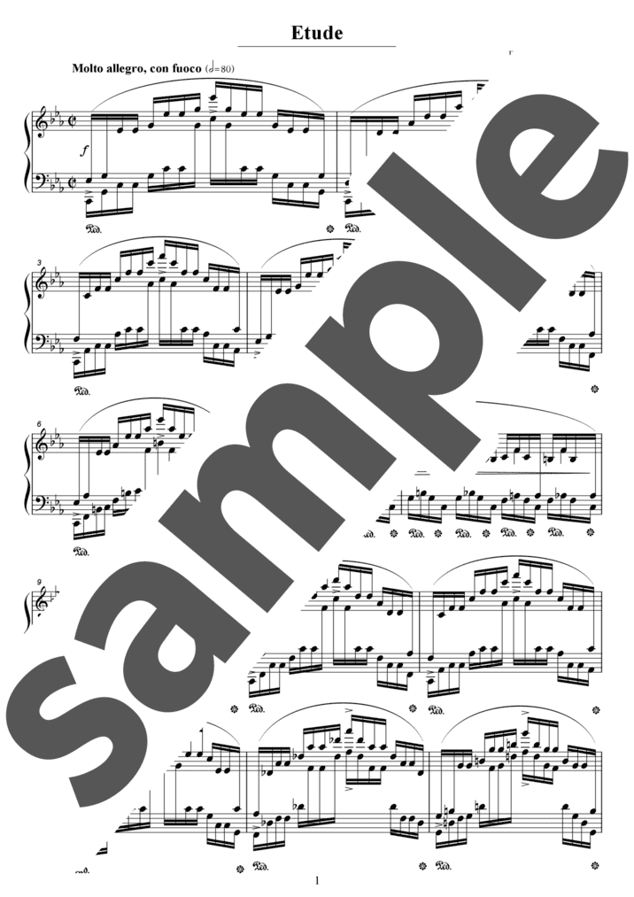 エチュード第12番「大洋」ハ短調（ソロ / 上級）